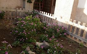 Orchidea House
